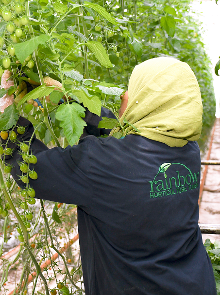 Rectangle 173-1 Rectangle 173-1