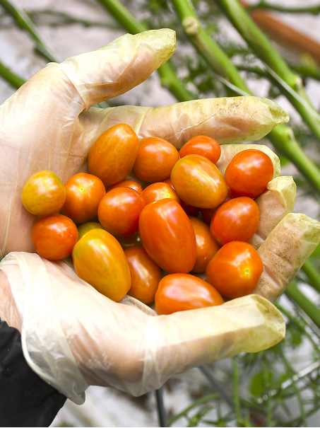 Rectangle 173 Rectangle 173