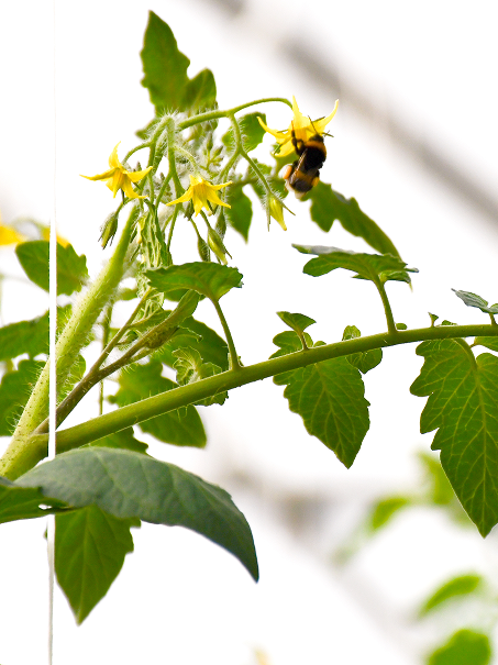 Rectangle 173-2 Rectangle 173-2