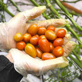 protection biologique intégré