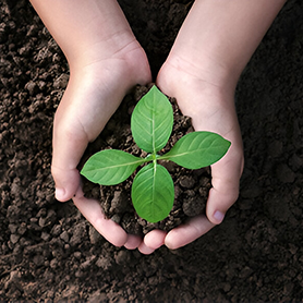 respect de l'environnement